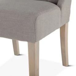 World Interiors Chloe Contemporary Wing Dining Chair